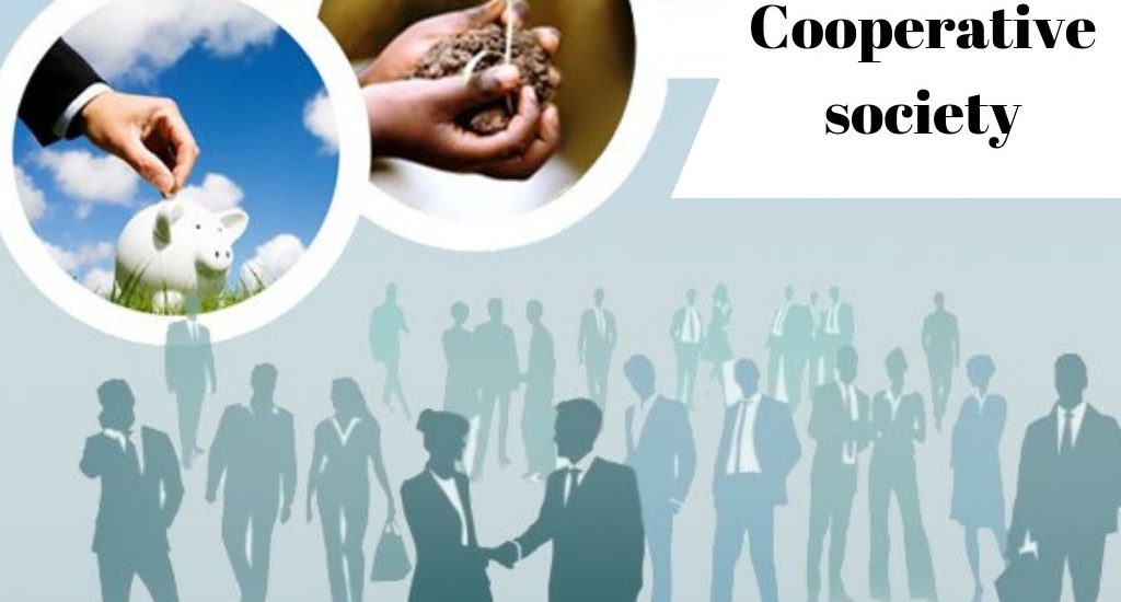 The Basic Understanding of Cooperative